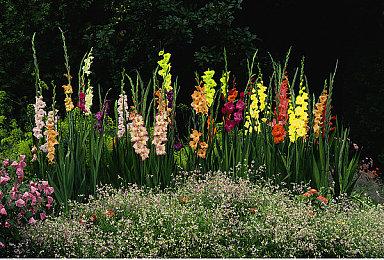 7月版号下发：《暗黑破坏神4》、《终极角逐》国服过审